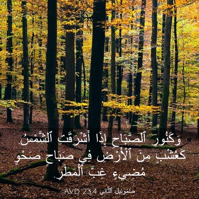 Picture 03 - صَمُوئِيلَ ٱلثَّانِي 23:4 AVD - وَكَنُورِ ٱلصَّبَاحِ - Bible Verse Picture