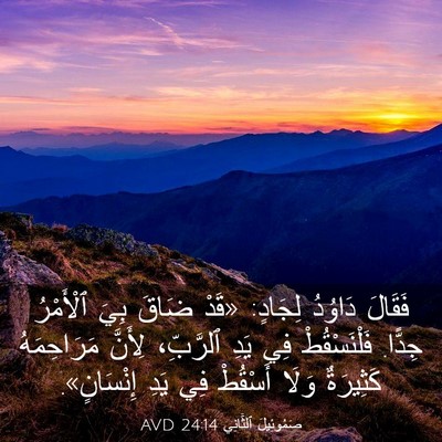 Picture 03 - صَمُوئِيلَ ٱلثَّانِي 24:14 AVD - فَقَالَ دَاوُدُ لِجَادٍ: - Bible Verse Picture