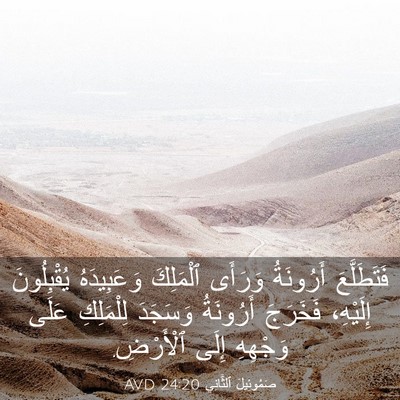 Picture 03 - صَمُوئِيلَ ٱلثَّانِي 24:20 AVD - فَتَطَلَّعَ أَرُونَةُ - Bible Verse Picture