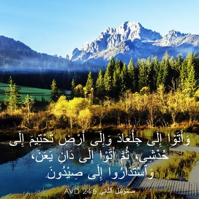 Picture 03 - صَمُوئِيلَ ٱلثَّانِي 24:6 AVD - وَأَتَوْا إِلَى جِلْعَادَ - Bible Verse Picture