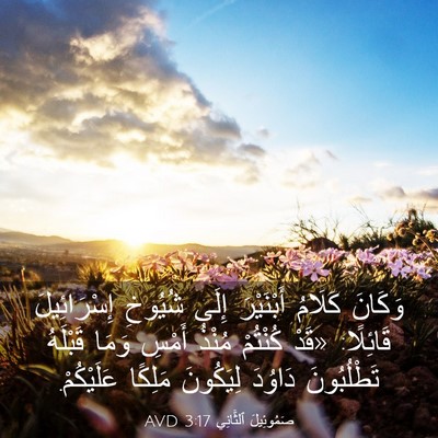 Picture 03 - صَمُوئِيلَ ٱلثَّانِي 3:17 AVD - وَكَانَ كَلَامُ - Bible Verse Picture