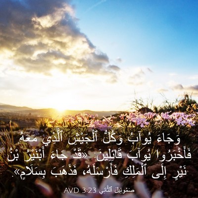 Picture 03 - صَمُوئِيلَ ٱلثَّانِي 3:23 AVD - وَجَاءَ يُوآبُ وَكُلُّ - Bible Verse Picture