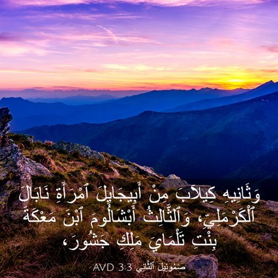 Picture 03 - صَمُوئِيلَ ٱلثَّانِي 3:3 AVD - وَثَانِيهِ كِيلآبَ مِنْ - Bible Verse Picture