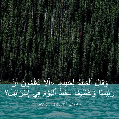 Picture 03 - صَمُوئِيلَ ٱلثَّانِي 3:38 AVD - وَقَالَ ٱلْمَلِكُ - Bible Verse Picture