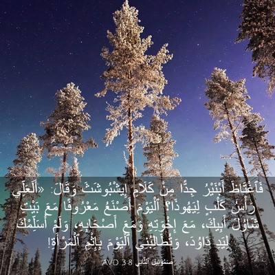 Picture 03 - صَمُوئِيلَ ٱلثَّانِي 3:8 AVD - فَٱغْتَاظَ أَبْنَيْرُ - Bible Verse Picture