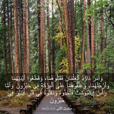Picture 03 - صَمُوئِيلَ ٱلثَّانِي 4:12 AVD - وَأَمَرَ دَاوُدُ - Bible Verse Picture