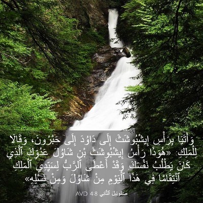 Picture 03 - صَمُوئِيلَ ٱلثَّانِي 4:8 AVD - وَأَتَيَا بِرَأْسِ - Bible Verse Picture