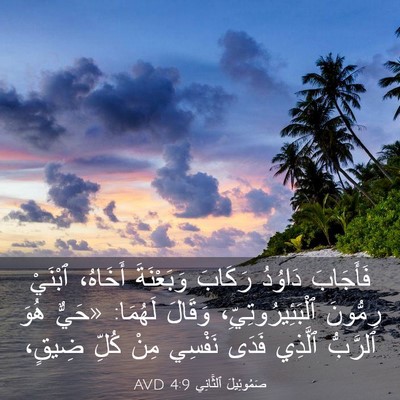 Picture 03 - صَمُوئِيلَ ٱلثَّانِي 4:9 AVD - فَأَجَابَ دَاوُدُ رَكَابَ - Bible Verse Picture
