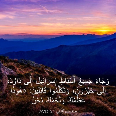 Picture 03 - صَمُوئِيلَ ٱلثَّانِي 5:1 AVD - وَجَاءَ جَمِيعُ أَسْبَاطِ - Bible Verse Picture
