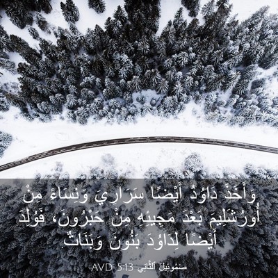 Picture 03 - صَمُوئِيلَ ٱلثَّانِي 5:13 AVD - وَأَخَذَ دَاوُدُ أَيْضًا - Bible Verse Picture