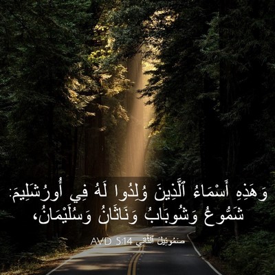 Picture 03 - صَمُوئِيلَ ٱلثَّانِي 5:14 AVD - وَهَذِهِ أَسْمَاءُ - Bible Verse Picture