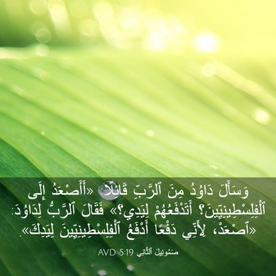 Picture 03 - صَمُوئِيلَ ٱلثَّانِي 5:19 AVD - وَسَأَلَ دَاوُدُ مِنَ - Bible Verse Picture