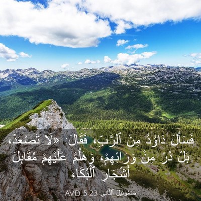Picture 03 - صَمُوئِيلَ ٱلثَّانِي 5:23 AVD - فَسَأَلَ دَاوُدُ مِنَ - Bible Verse Picture