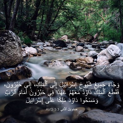 Picture 03 - صَمُوئِيلَ ٱلثَّانِي 5:3 AVD - وَجَاءَ جَمِيعُ شُيُوخِ - Bible Verse Picture