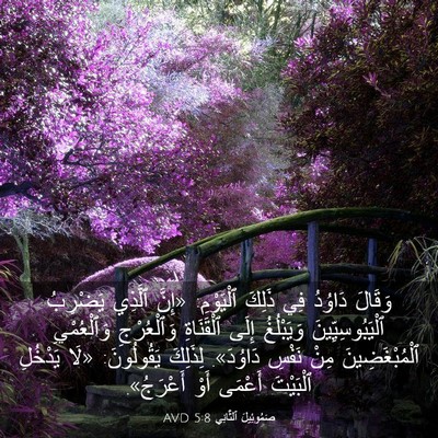 Picture 03 - صَمُوئِيلَ ٱلثَّانِي 5:8 AVD - وَقَالَ دَاوُدُ فِي ذَلِكَ - Bible Verse Picture