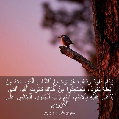 Picture 03 - صَمُوئِيلَ ٱلثَّانِي 6:2 AVD - وَقَامَ دَاوُدُ وَذَهَبَ - Bible Verse Picture