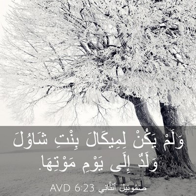 Picture 03 - صَمُوئِيلَ ٱلثَّانِي 6:23 AVD - وَلَمْ يَكُنْ لِمِيكَالَ - Bible Verse Picture