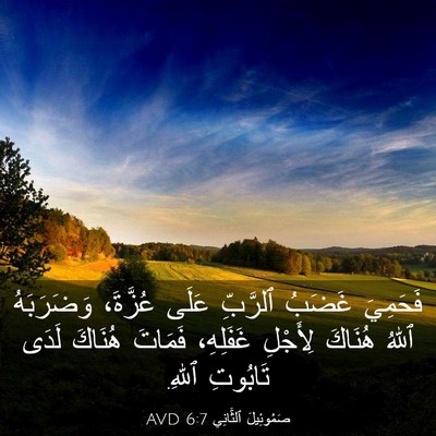 Picture 03 - صَمُوئِيلَ ٱلثَّانِي 6:7 AVD - فَحَمِيَ غَضَبُ ٱلرَّبِّ - Bible Verse Picture
