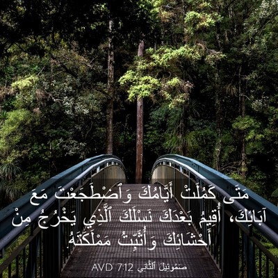 Picture 03 - صَمُوئِيلَ ٱلثَّانِي 7:12 AVD - مَتَى كَمُلَتْ أَيَّامُكَ - Bible Verse Picture