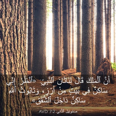 Picture 03 - صَمُوئِيلَ ٱلثَّانِي 7:2 AVD - أَنَّ ٱلْمَلِكَ قَالَ - Bible Verse Picture