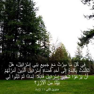 Picture 03 - صَمُوئِيلَ ٱلثَّانِي 7:7 AVD - فِي كُلِّ مَا سِرْتُ مَعَ - Bible Verse Picture