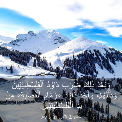 Picture 03 - صَمُوئِيلَ ٱلثَّانِي 8:1 AVD - وَبَعْدَ ذَلِكَ ضَرَبَ - Bible Verse Picture