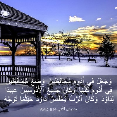 Picture 03 - صَمُوئِيلَ ٱلثَّانِي 8:14 AVD - وَجَعَلَ فِي أَدُومَ - Bible Verse Picture