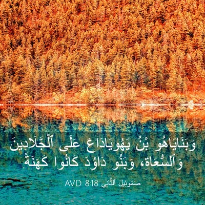 Picture 03 - صَمُوئِيلَ ٱلثَّانِي 8:18 AVD - وَبَنَايَاهُو بْنُ - Bible Verse Picture