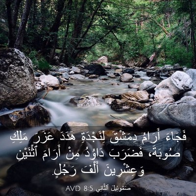 Picture 03 - صَمُوئِيلَ ٱلثَّانِي 8:5 AVD - فَجَاءَ أَرَامُ دِمَشْقَ - Bible Verse Picture