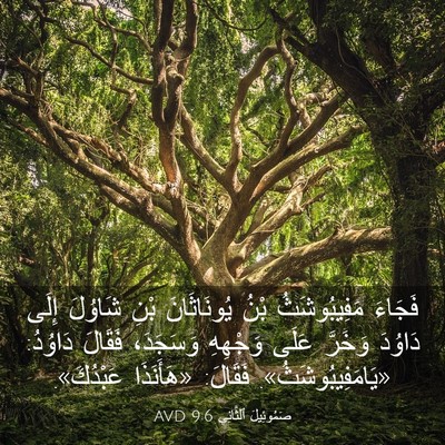 Picture 03 - صَمُوئِيلَ ٱلثَّانِي 9:6 AVD - فَجَاءَ مَفِيبُوشَثُ بْنُ - Bible Verse Picture