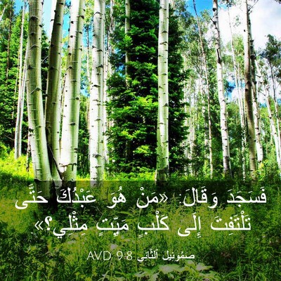 Picture 03 - صَمُوئِيلَ ٱلثَّانِي 9:8 AVD - فَسَجَدَ وَقَالَ: «مَنْ - Bible Verse Picture