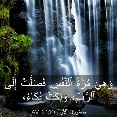 Picture 03 - صَمُوئِيلَ ٱلْأَوَّلُ 1:10 AVD - وَهِيَ مُرَّةُ ٱلنَّفْسِ. - Bible Verse Picture