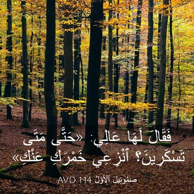 Picture 03 - صَمُوئِيلَ ٱلْأَوَّلُ 1:14 AVD - فَقَالَ لَهَا عَالِي: - Bible Verse Picture