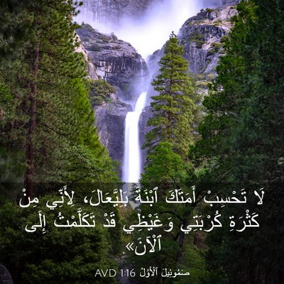 Picture 03 - صَمُوئِيلَ ٱلْأَوَّلُ 1:16 AVD - لَا تَحْسِبْ أَمَتَكَ - Bible Verse Picture