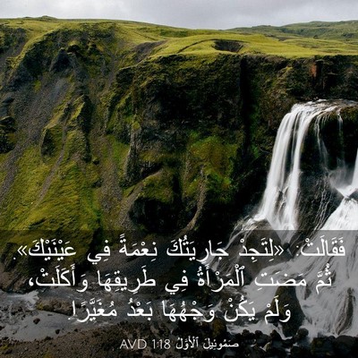 Picture 03 - صَمُوئِيلَ ٱلْأَوَّلُ 1:18 AVD - فَقَالَتْ: «لِتَجِدْ - Bible Verse Picture