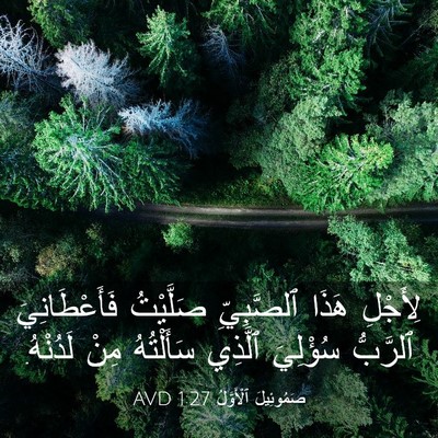 Picture 03 - صَمُوئِيلَ ٱلْأَوَّلُ 1:27 AVD - لِأَجْلِ هَذَا ٱلصَّبِيِّ - Bible Verse Picture