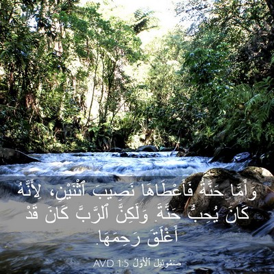 Picture 03 - صَمُوئِيلَ ٱلْأَوَّلُ 1:5 AVD - وَأَمَّا حَنَّةُ - Bible Verse Picture