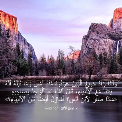 Picture 03 - صَمُوئِيلَ ٱلْأَوَّلُ 10:11 AVD - وَلَمَّا رَآهُ جَمِيعُ - Bible Verse Picture