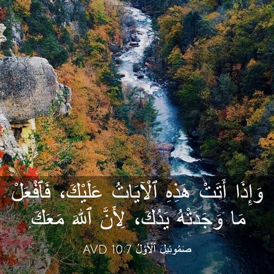 Picture 03 - صَمُوئِيلَ ٱلْأَوَّلُ 10:7 AVD - وَإِذَا أَتَتْ هَذِهِ - Bible Verse Picture