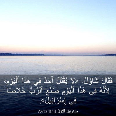 Picture 03 - صَمُوئِيلَ ٱلْأَوَّلُ 11:13 AVD - فَقَالَ شَاوُلُ: «لَا - Bible Verse Picture