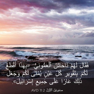 Picture 03 - صَمُوئِيلَ ٱلْأَوَّلُ 11:2 AVD - فَقَالَ لَهُمْ نَاحَاشُ - Bible Verse Picture