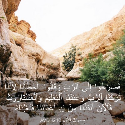Picture 03 - صَمُوئِيلَ ٱلْأَوَّلُ 12:10 AVD - فَصَرَخُوا إِلَى ٱلرَّبِّ - Bible Verse Picture