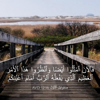 Picture 03 - صَمُوئِيلَ ٱلْأَوَّلُ 12:16 AVD - فَٱلْآنَ ٱمْثُلُوا - Bible Verse Picture