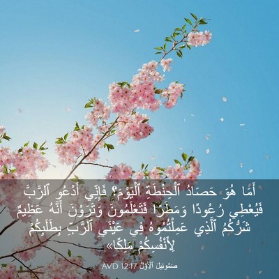 Picture 03 - صَمُوئِيلَ ٱلْأَوَّلُ 12:17 AVD - أَمَا هُوَ حَصَادُ - Bible Verse Picture