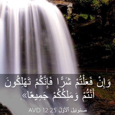 Picture 03 - صَمُوئِيلَ ٱلْأَوَّلُ 12:25 AVD - وَإِنْ فَعَلْتُمْ شَرًّا - Bible Verse Picture