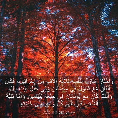 Picture 03 - صَمُوئِيلَ ٱلْأَوَّلُ 13:2 AVD - وَٱخْتَارَ شَاوُلُ - Bible Verse Picture