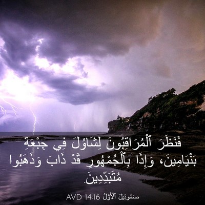 Picture 03 - صَمُوئِيلَ ٱلْأَوَّلُ 14:16 AVD - فَنَظَرَ ٱلْمُرَاقِبُونَ - Bible Verse Picture