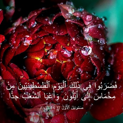 Picture 03 - صَمُوئِيلَ ٱلْأَوَّلُ 14:31 AVD - فَضَرَبُوا فِي ذَلِكَ - Bible Verse Picture