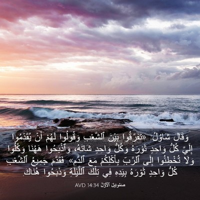 Picture 03 - صَمُوئِيلَ ٱلْأَوَّلُ 14:34 AVD - وَقَالَ شَاوُلُ: - Bible Verse Picture