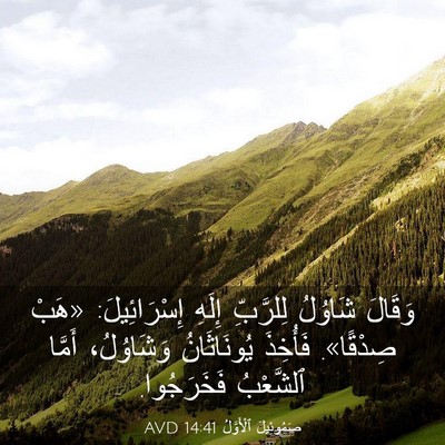 Picture 03 - صَمُوئِيلَ ٱلْأَوَّلُ 14:41 AVD - وَقَالَ شَاوُلُ لِلرَّبِّ - Bible Verse Picture